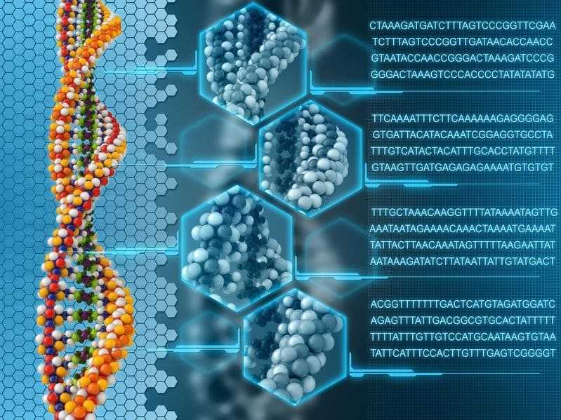 Whole Genome Sequencing