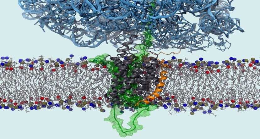 Computer Aided Drug Discovery