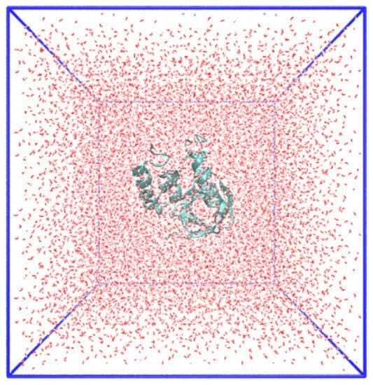 Molecular Docking & Molecular Dynamics (Computer Aided Drug Discovery)