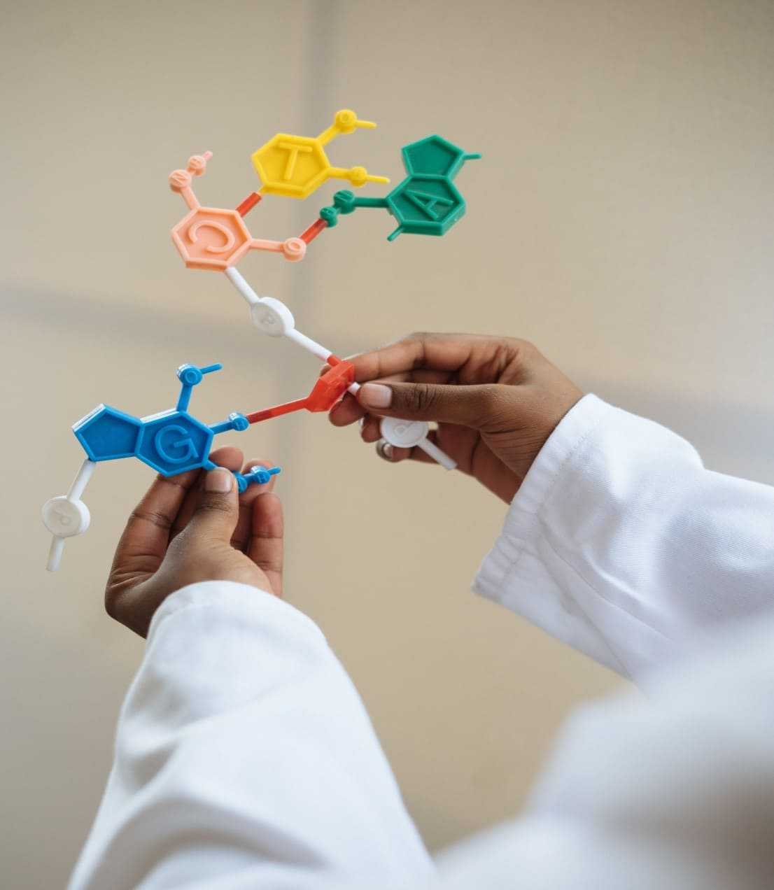 RNA-Transcriptome (Denovo Based)